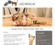 LeoBengal, élevage de chat de race Bengal dans la Marne en région Champagne-Ardennes