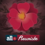 Fleuriste à Nice : Allo-Fleuriste Nice