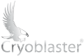 Equipement de nettoyage par cryogénie: Cryoblaster®