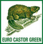 Haie Artificielle pas cher : Euro Castor Green
