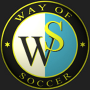 Way of Soccer est un jeu de gestion d'équipe de football.